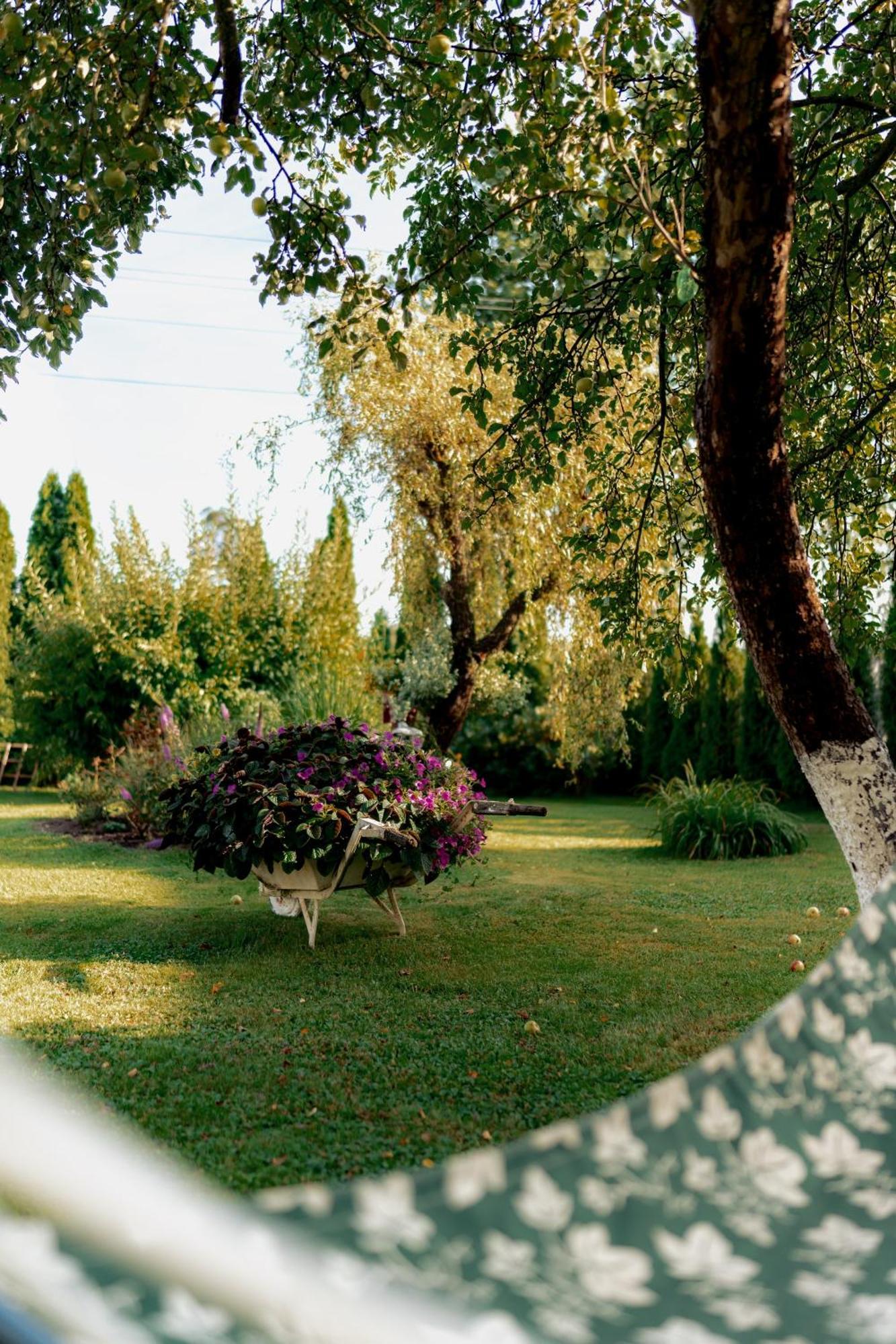 Zakatek U Hani Bad Altheide Exterior foto